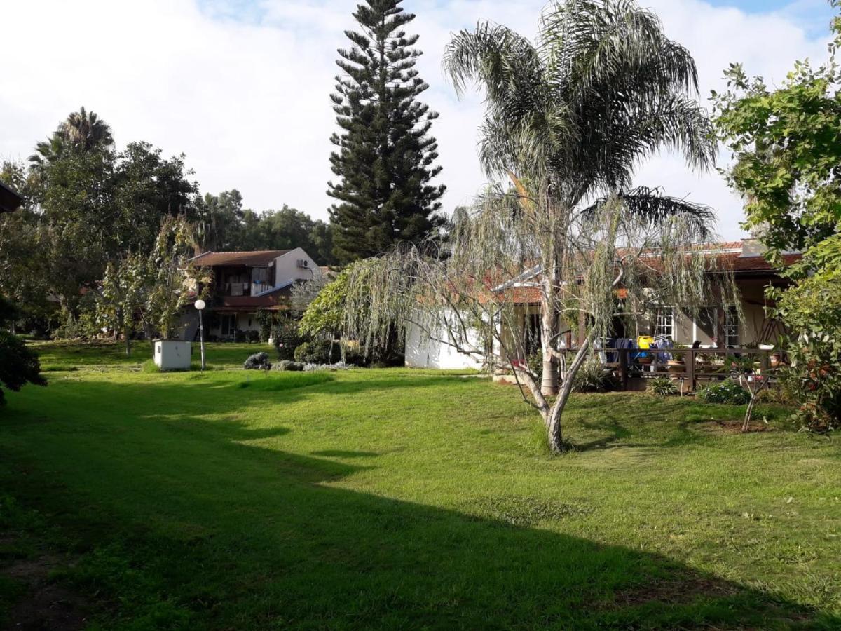 Kibbutz Hatzor A Room Close To Ashdod Hatzor Ashdod Buitenkant foto