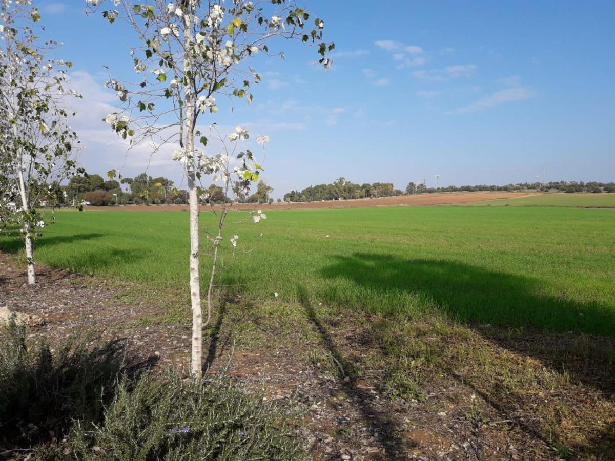 Kibbutz Hatzor A Room Close To Ashdod Hatzor Ashdod Buitenkant foto